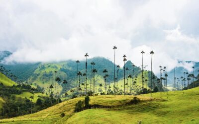 Top Reasons to Invest in Colombian Real Estate