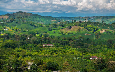 Discover Medellín Apartments for Sale: Your Guide to Finding the Perfect Property