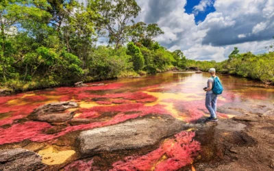 Your Guide to Finding the Perfect Apartment for Sale in Cartagena, Colombia